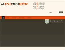 Tablet Screenshot of gribrakovservice.by
